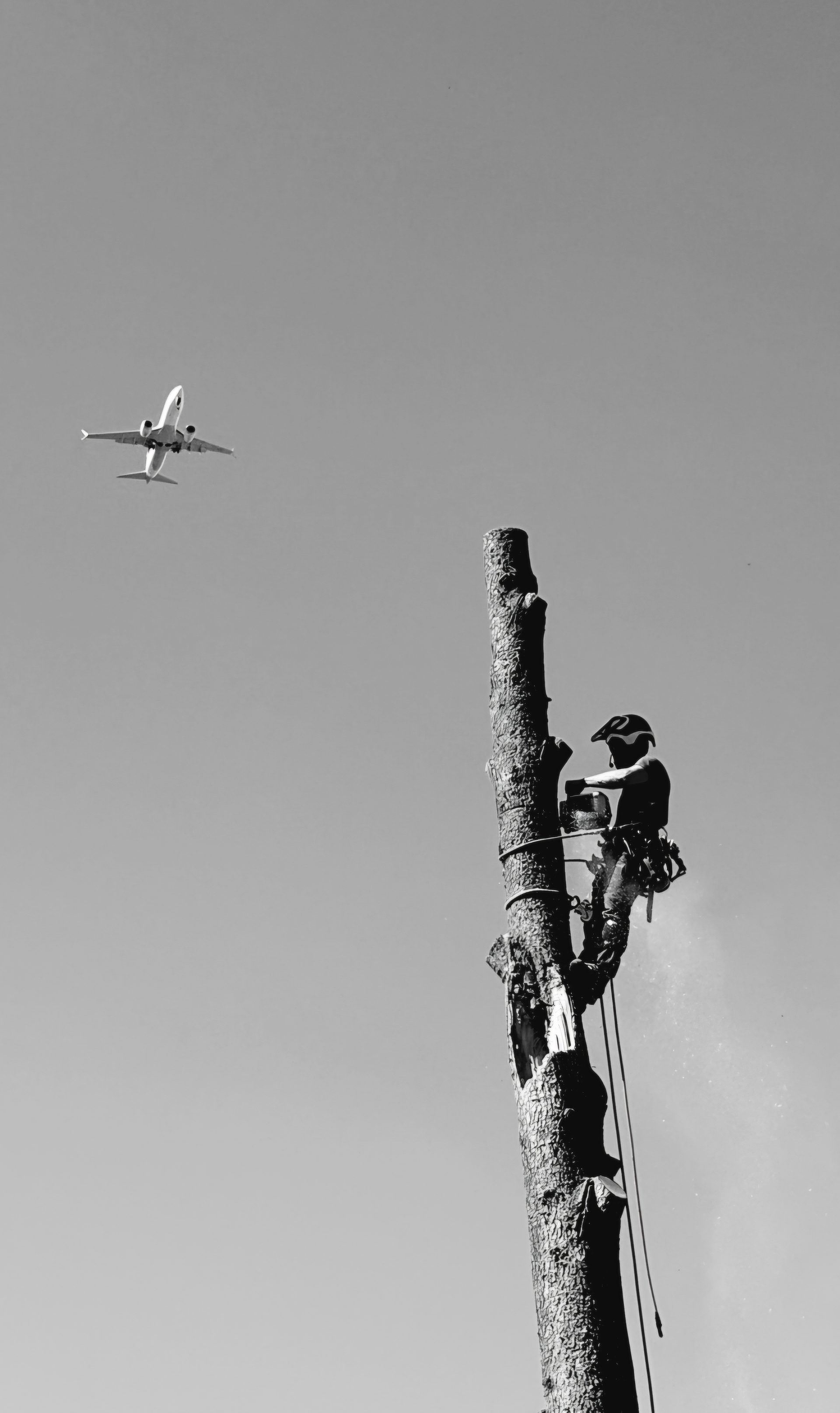 Démontage en hauteur, avion en arrière-plan