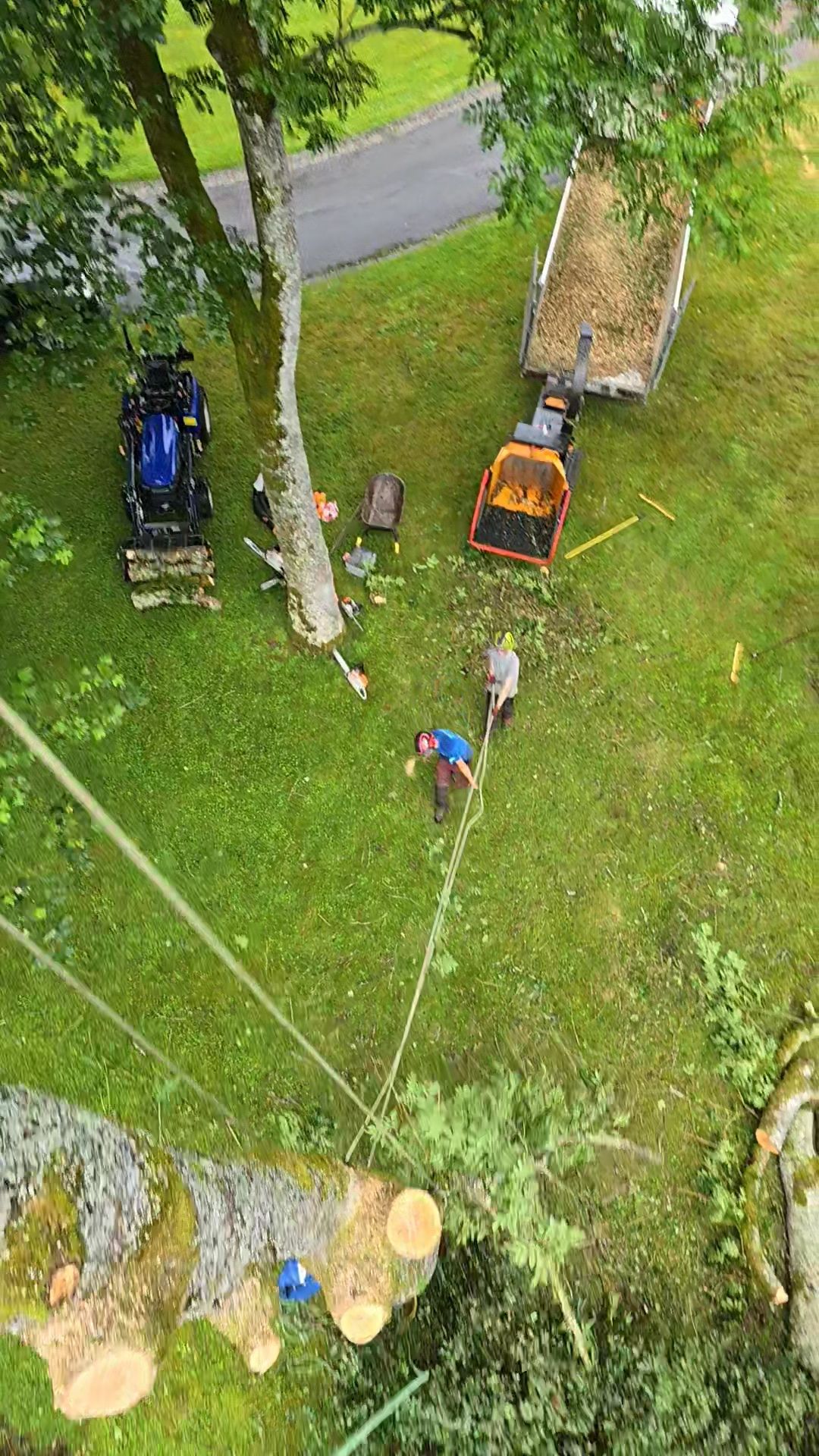 Broyage et évacuation depuis la canopée — chantier en cours